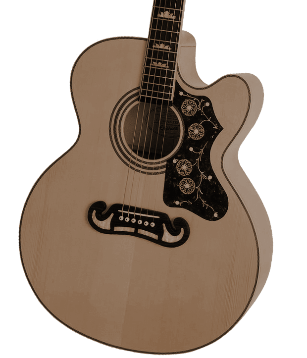 Jamey Johnson Guitar